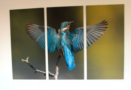 Mitmikpilt - suur foto mitmele lõuendile